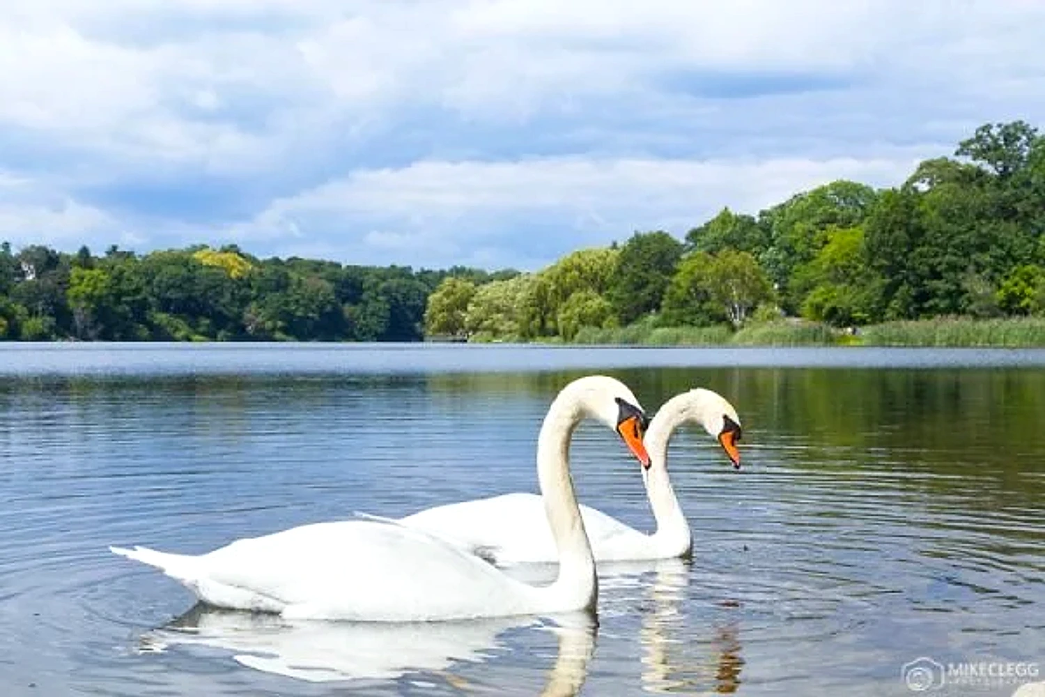 Lough Ree Tours gallery image